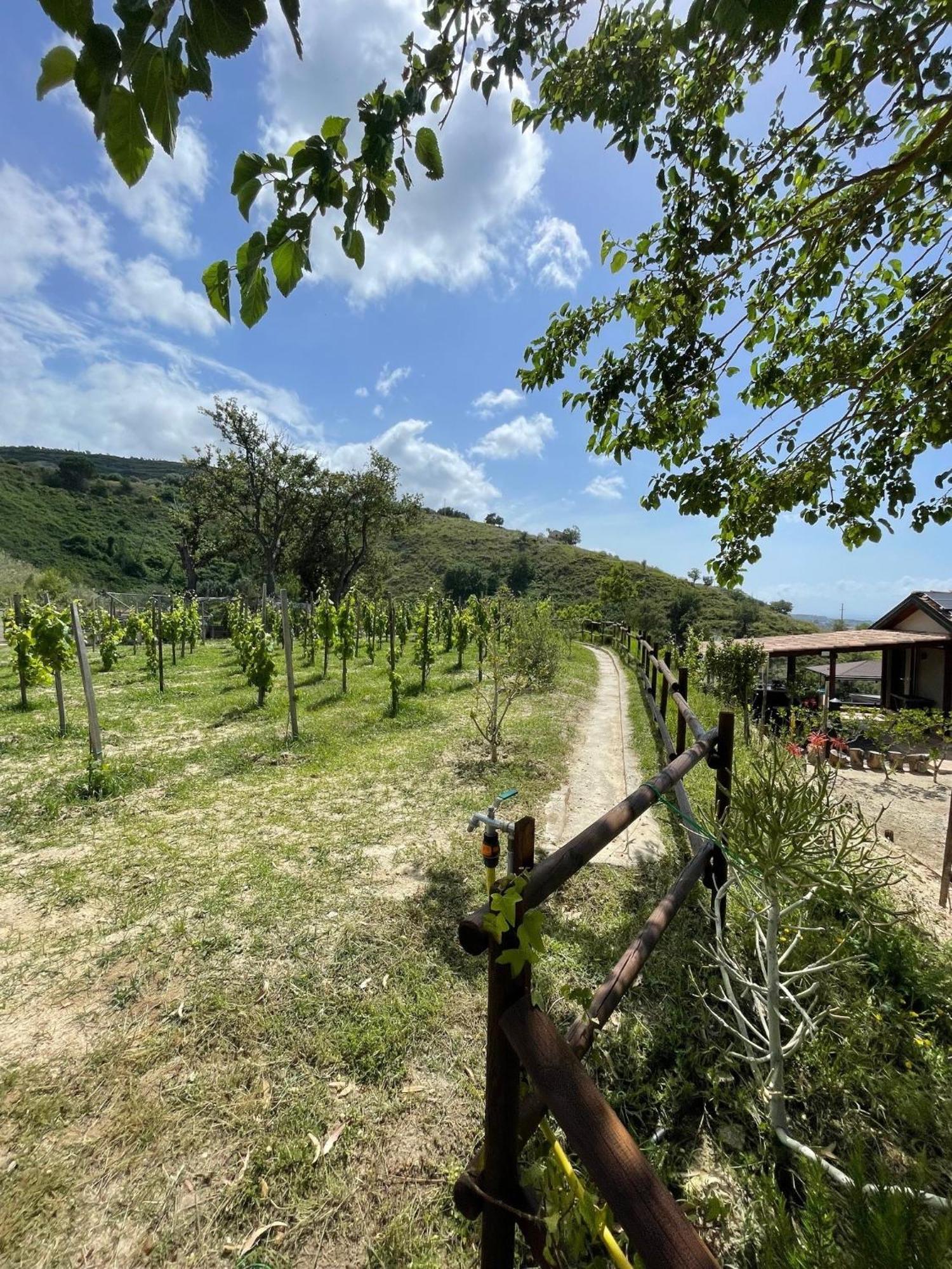 Casa Natura 40 Parghelia Exteriör bild